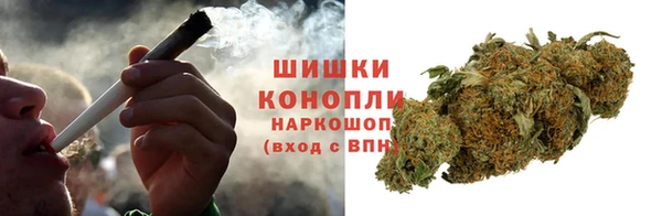 молекула духа Касимов