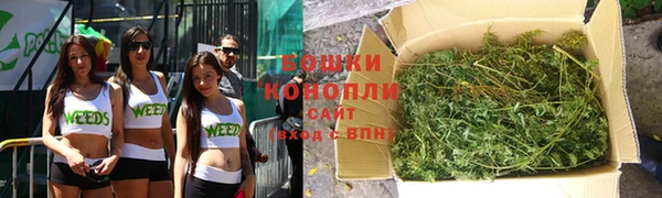 молекула духа Касимов