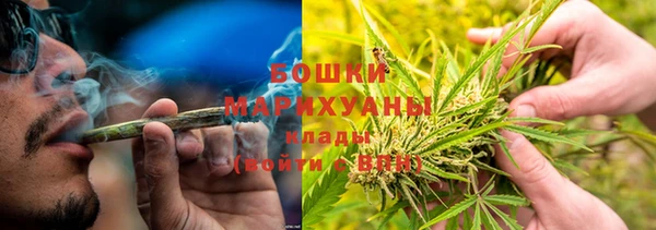 молекула духа Касимов