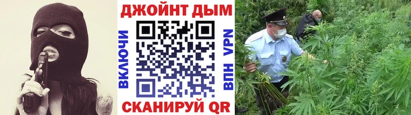 Шишки марихуана VHQ  Купить  Макушино 